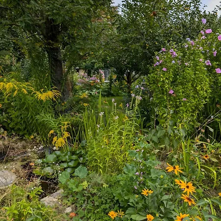 Parco vacanze Im Idyllischen Garten Berlino